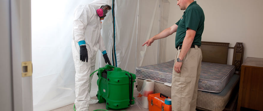 Chicago, IL mold removal process